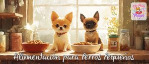 mejor pienso para perros pequeños