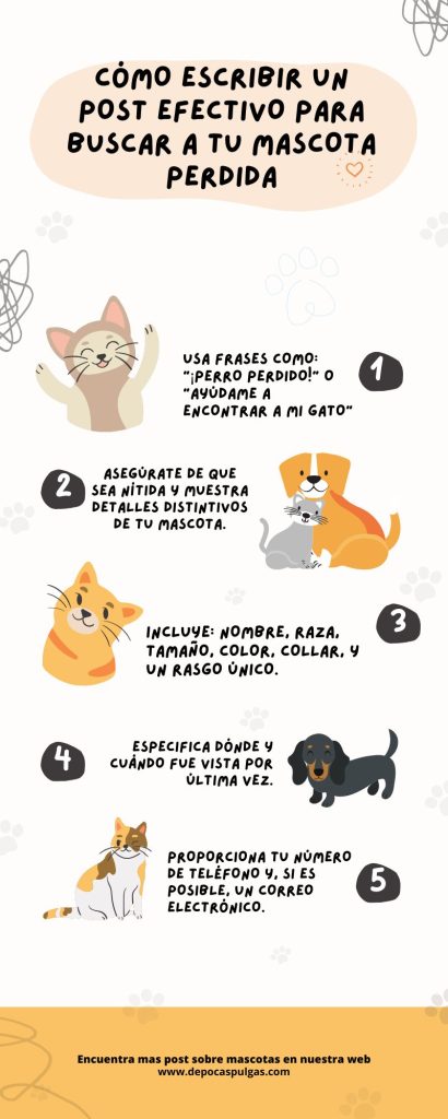 Cómo Escribir un Post Efectivo para Buscar a tu Mascota Perdida Cómo Escribir un Post Efectivo para Buscar a tu Mascota Perdida