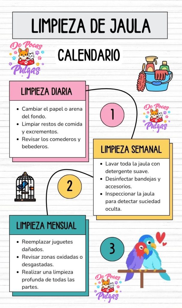 infografía con calendario de limpieza de jaula