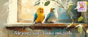 mejores aves como mascota en España