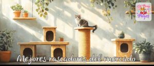 mejores rascadores para gatos