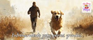 ejercicio para perros grandes