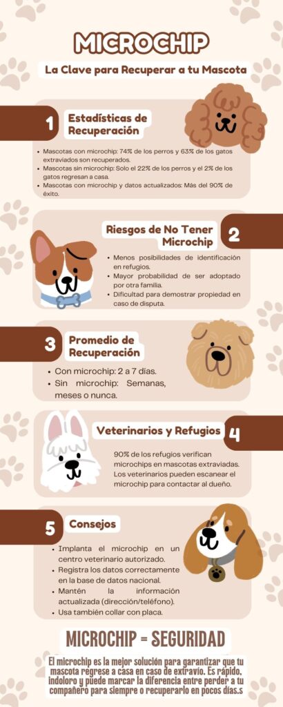 _La Clave para Recuperar a tu Mascota Infografia Importancia del Microchip