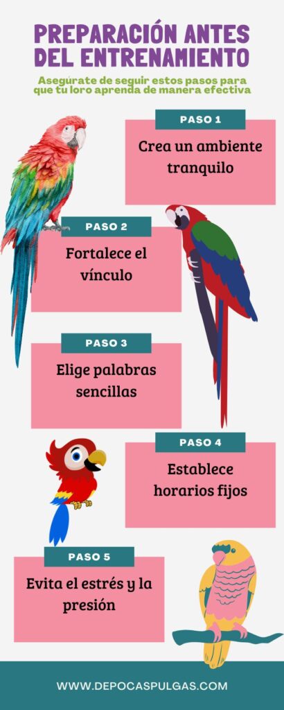 infografía loros