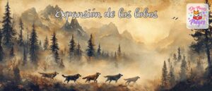expansión de lobos
