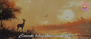 fotografiar animales