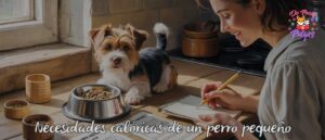necesidades calóricas de un perro mini
