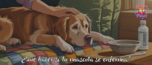 mascota enferma