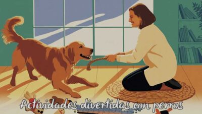 actividades divertidas con perros