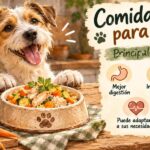 Comida casera para perros saludables